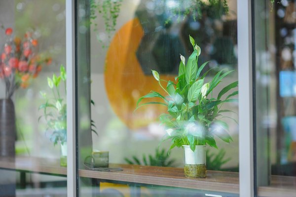 Choisissez votre croisière : luxe, famille ou aventure ?